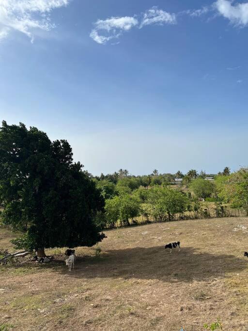 Playa Y Campo Getaway Apartment 伊莎贝拉 外观 照片